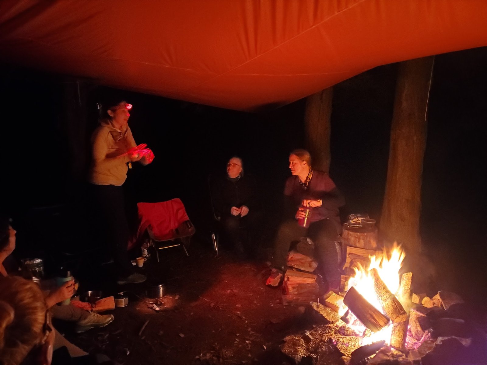 Fireside Stories and Poems